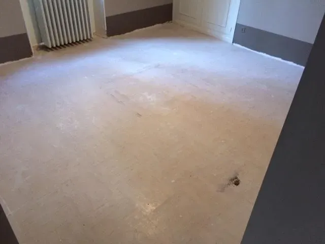 parquet (10)